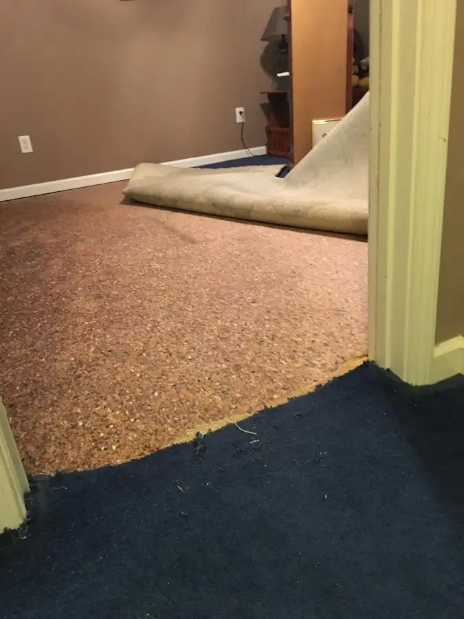 Carpet pad removal revealing water damage during Water Mitigation Services in Mentor-on-the-Lake